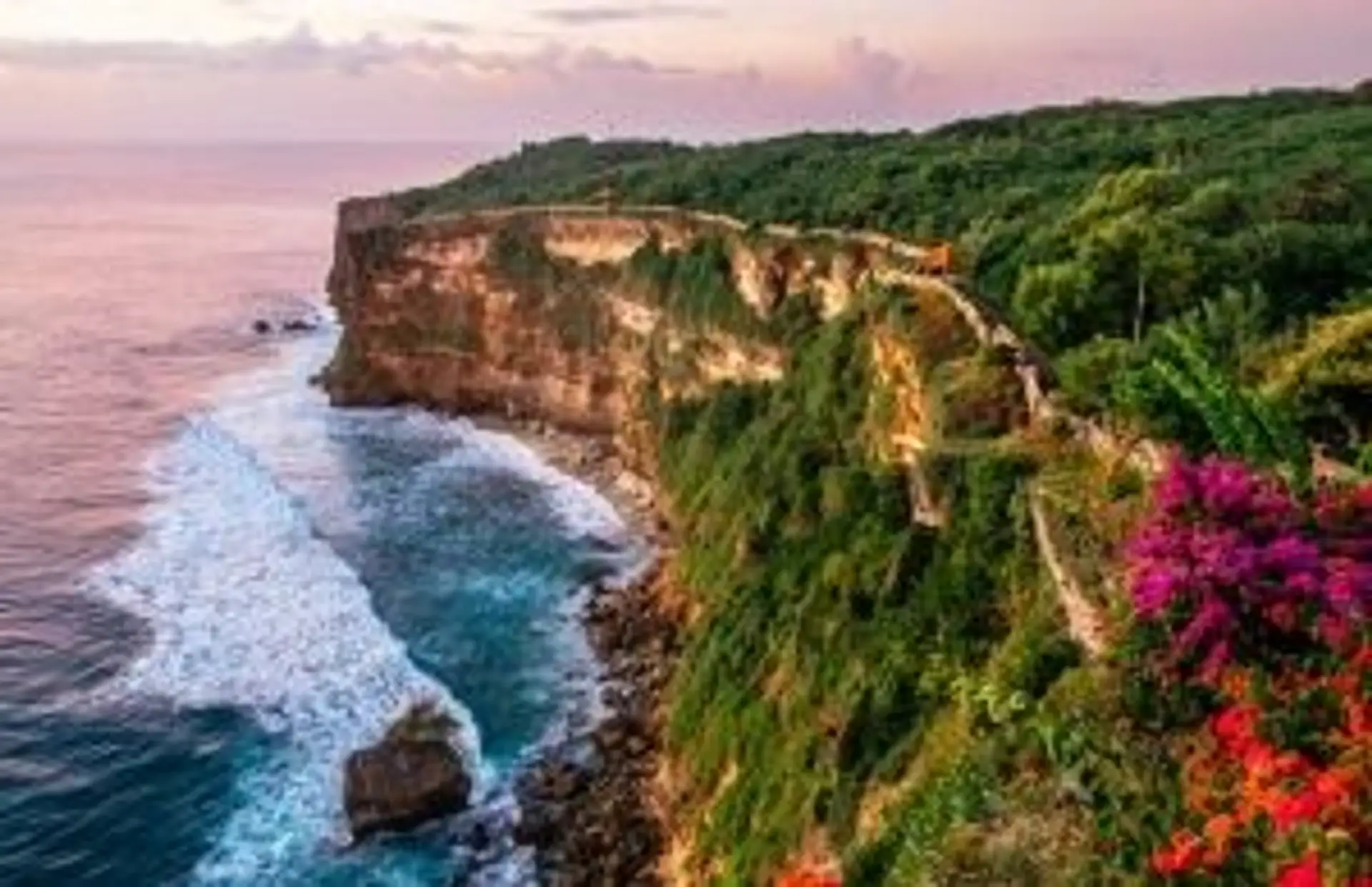 Vue panoramique sur les falaises escarpées d'Uluwatu au coucher du soleil avec fleurs de bougainvilliers à Bali en Indonésie.