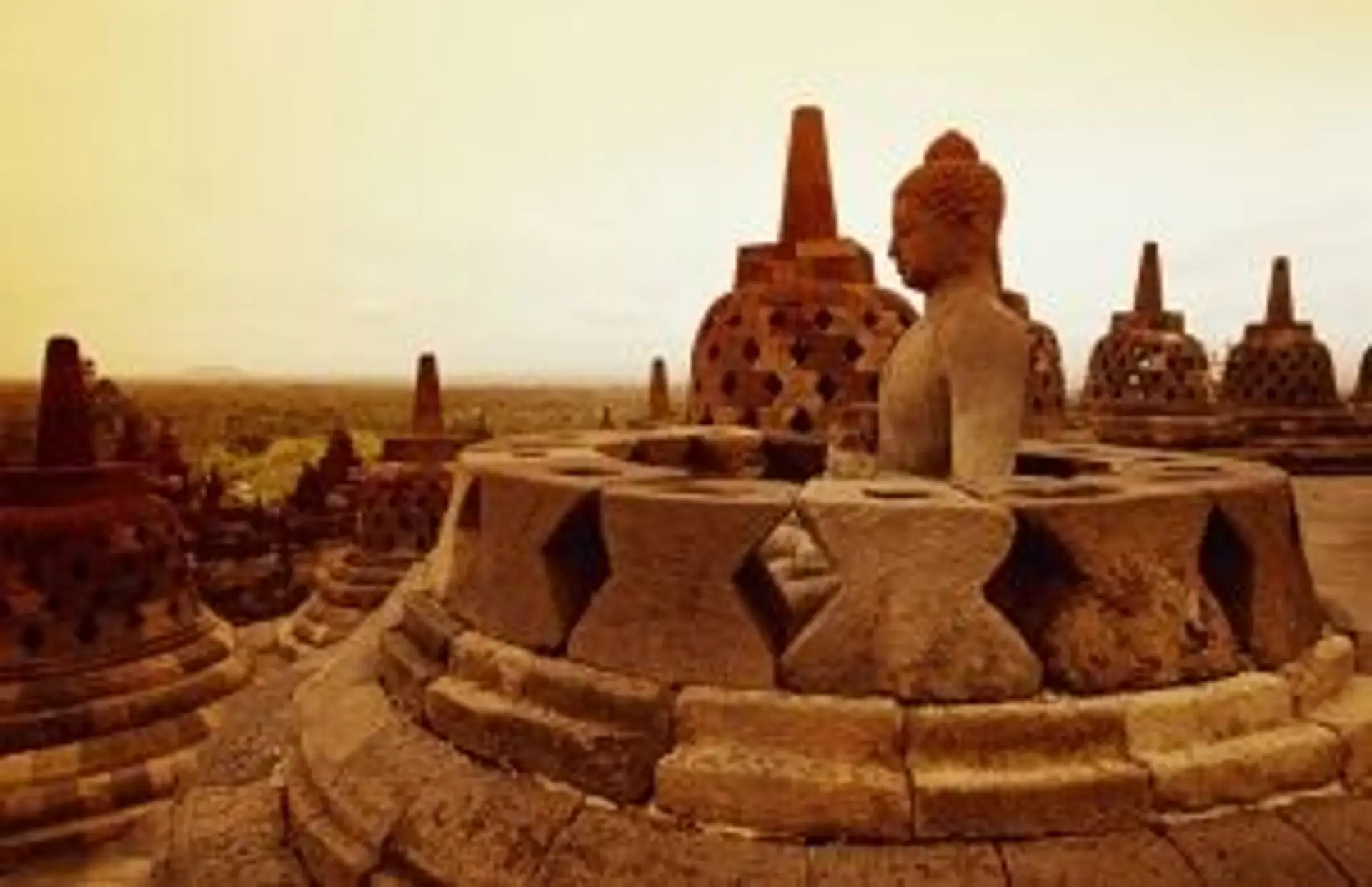 Statues de Bouddha dans des stupas en pierre au temple de Borobudur au lever du soleil sur l'île de Java en Indonésie.