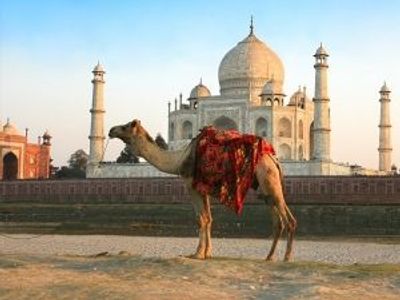 Why Travel with Shanti Travel in India