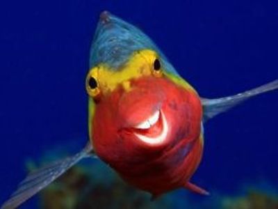 Religionen in Malaysia