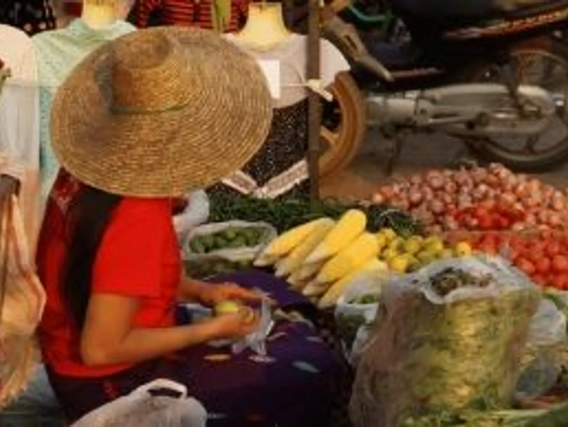 Santé et sécurité au Népal