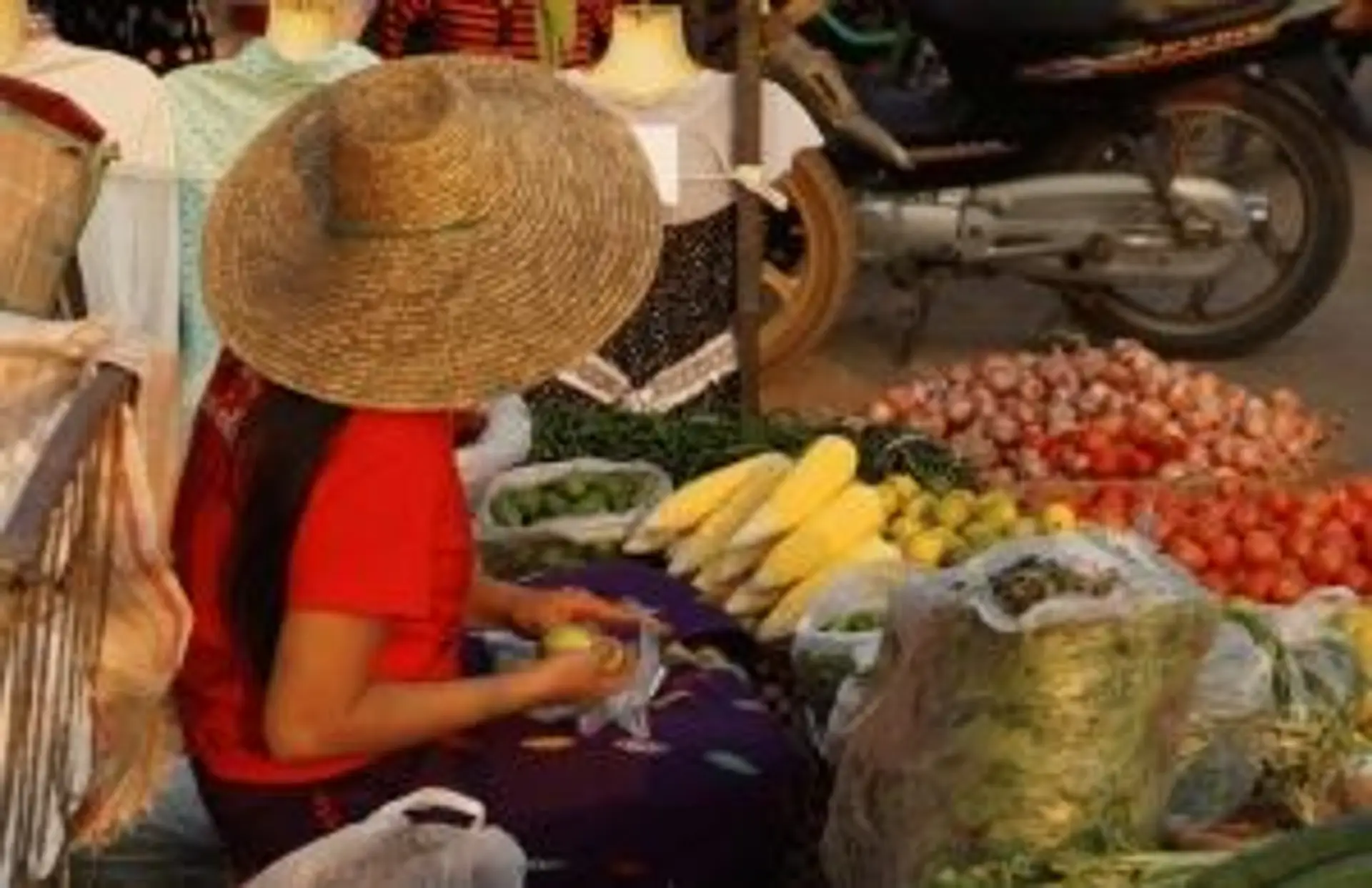 Voyage au Népal — Femme locale préparant des produits frais sur un marché traditionnel, illustrant les précautions d'hygiène alimentaire.