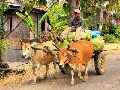 Options de transports à travers le Cambodge