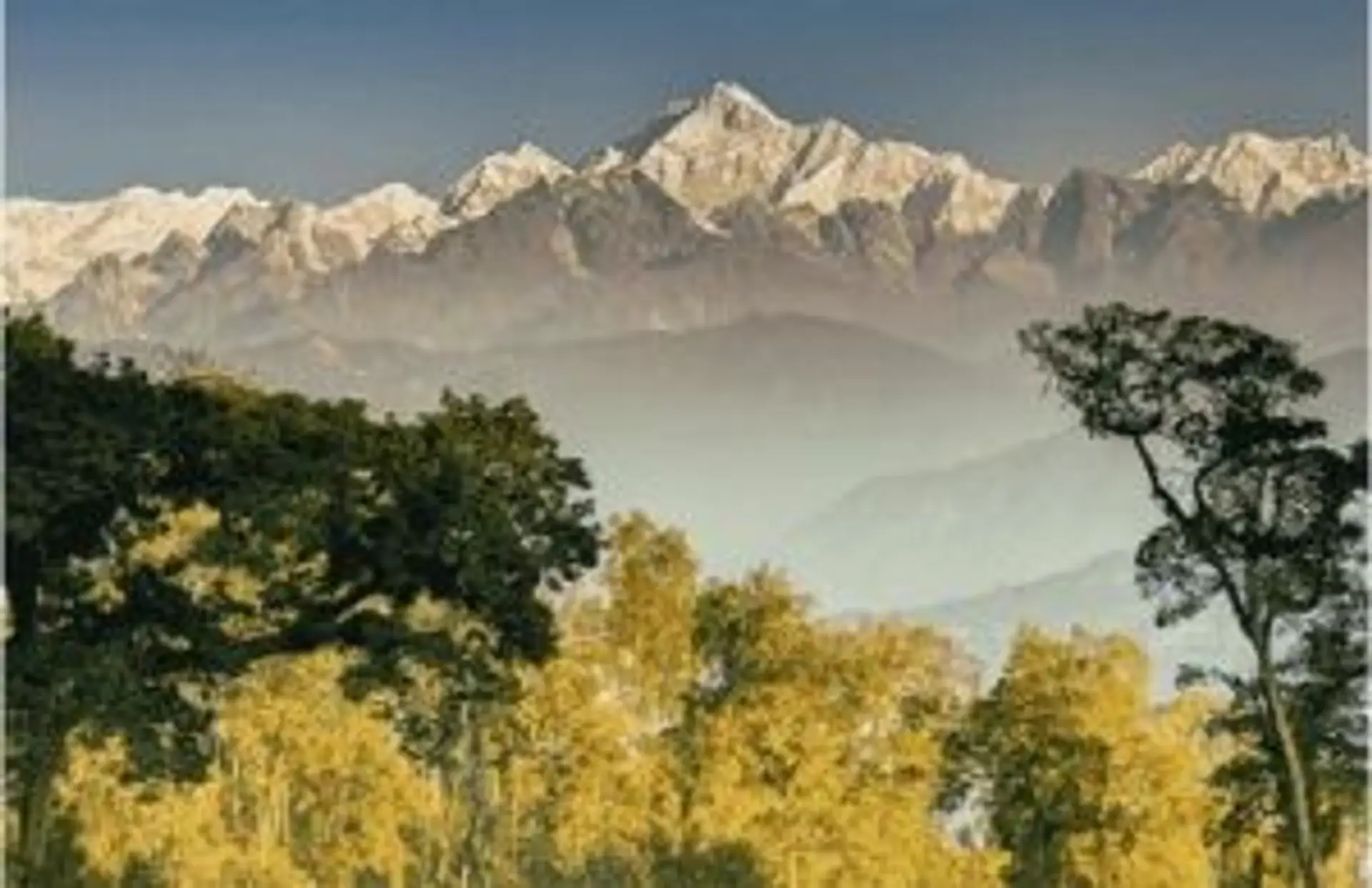 Sommets enneigés de l'Himalaya et forêt dorée sous un ciel clair au Bhoutan