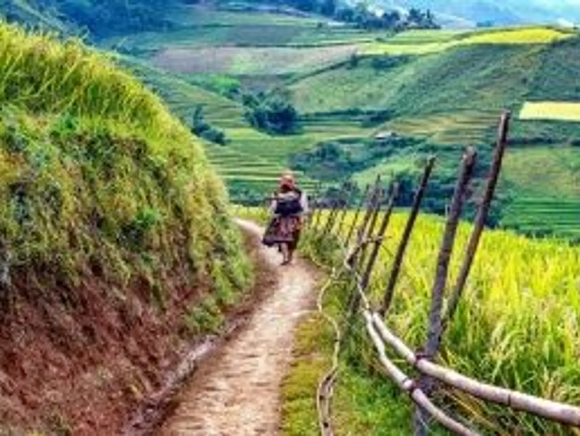 Why Travel with Shanti Travel in Vietnam