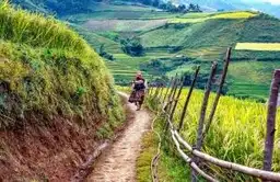 Travel in Asia - A person walking through rice terraces of the Hoang Lien National Park in Sapa, Vietnam