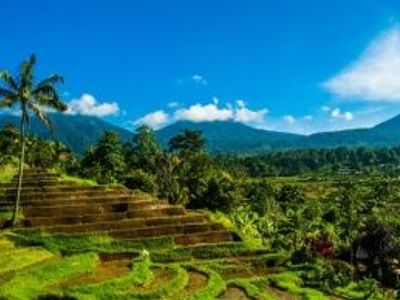 Sites et blogs pour aller plus loin ?