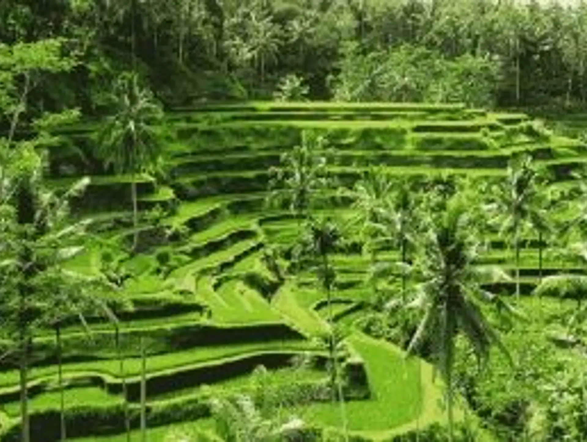 Conseils pour découvrir Bali hors des circuits classiques