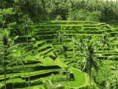 Conseils pour découvrir Bali hors des circuits classiques