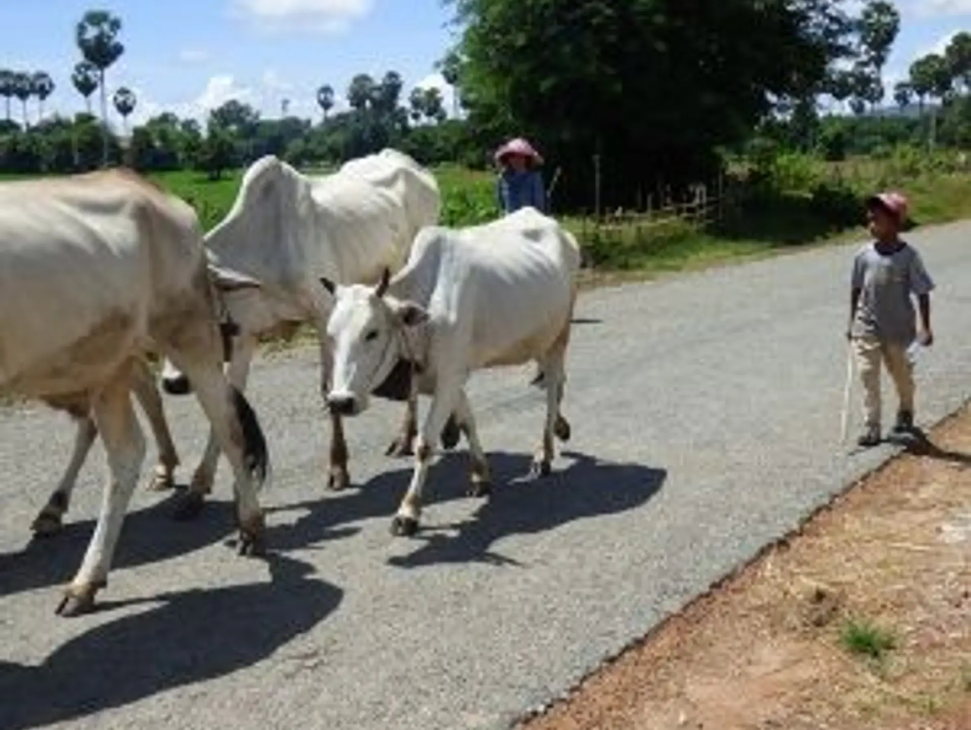 Conseils pour découvrir le Cambodge hors des circuits classiques