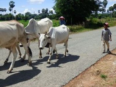Conseils pour découvrir le Cambodge hors des circuits classiques