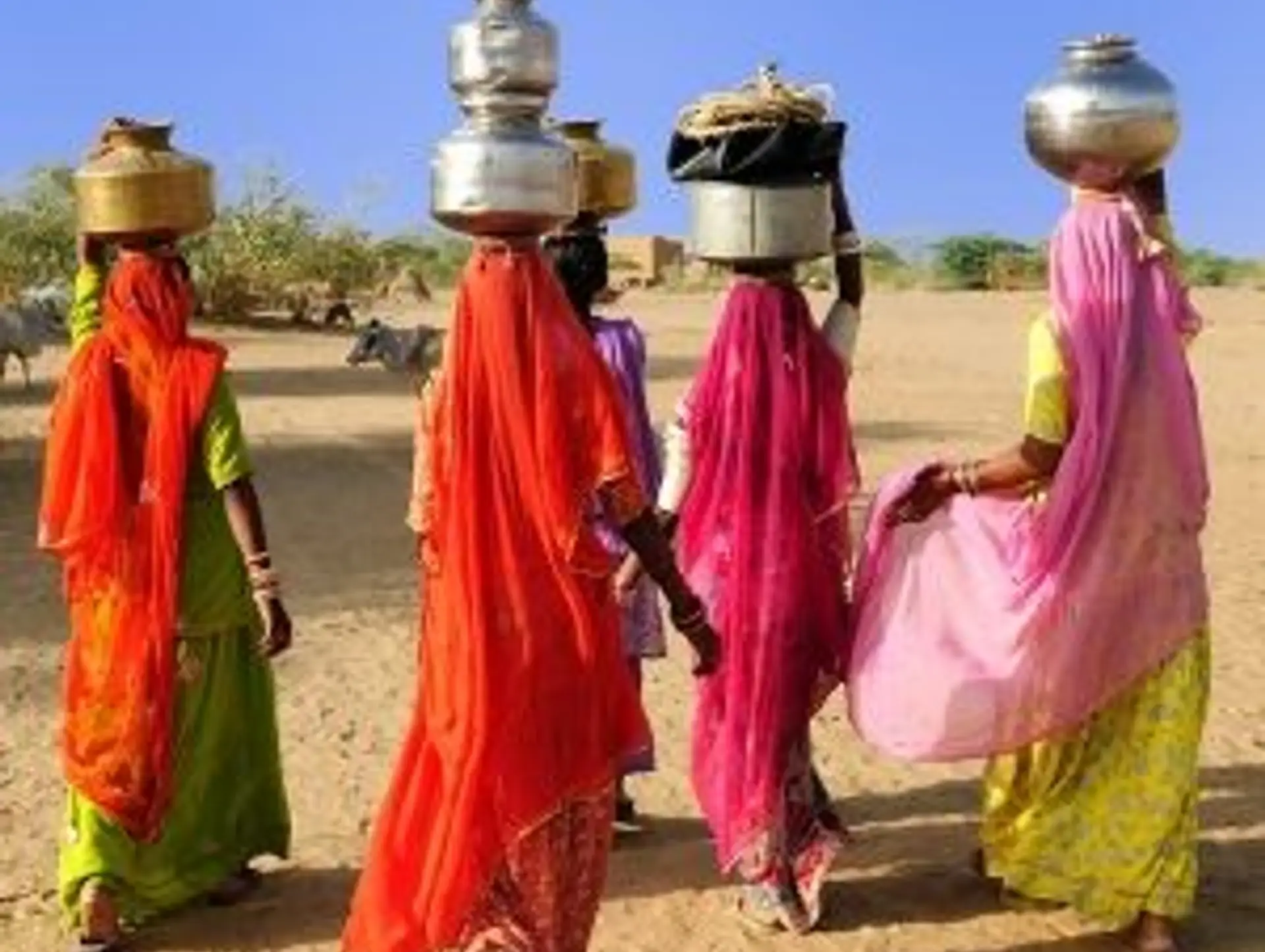 Sortir des sentiers battus en Inde du Nord