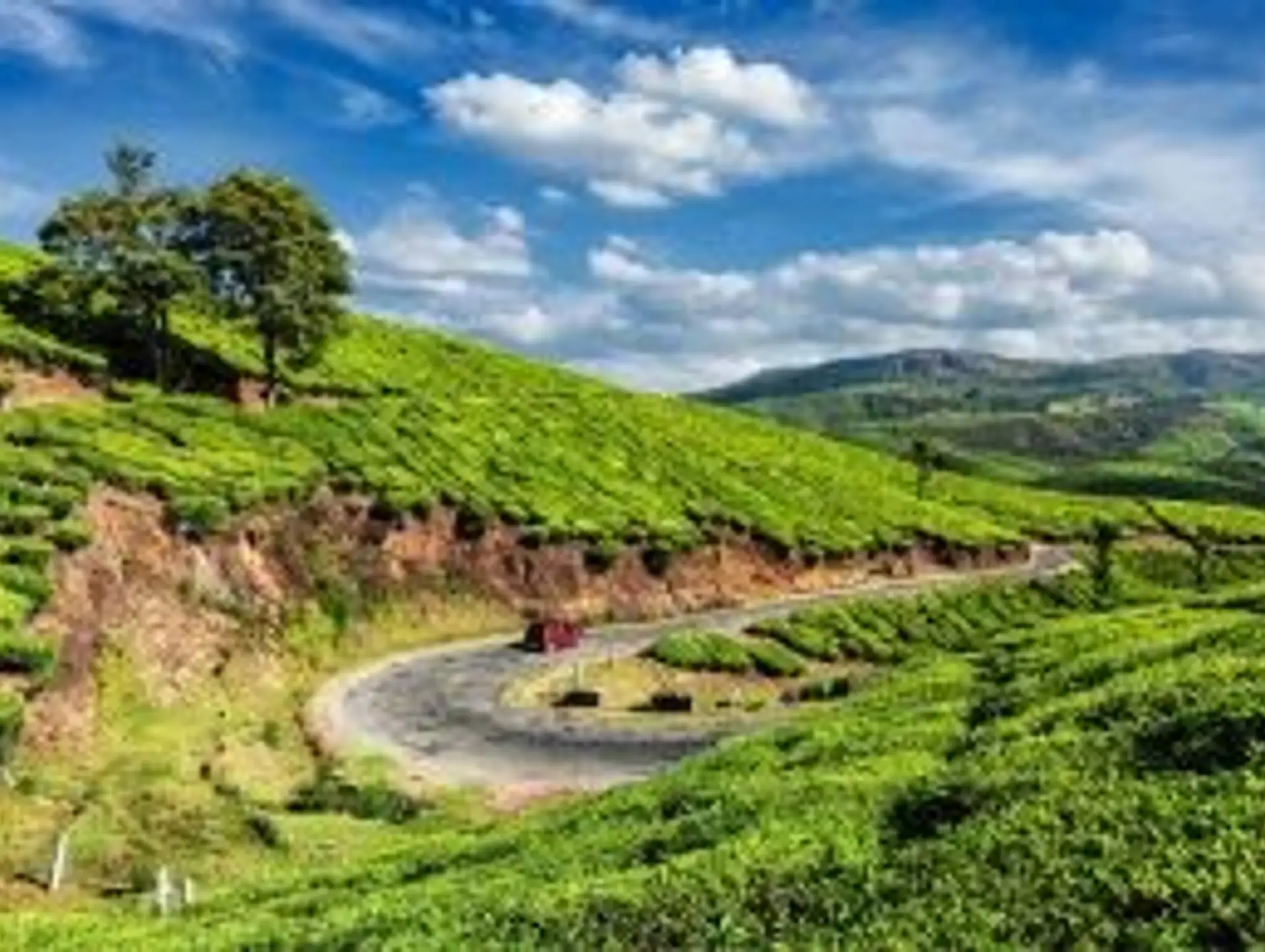 Sortir des sentiers battus en Inde du Sud