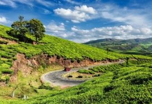 Voyage en Asie — Lieux hors des sentiers battus en Inde du Sud : nature intacte, villages et expériences authentiques