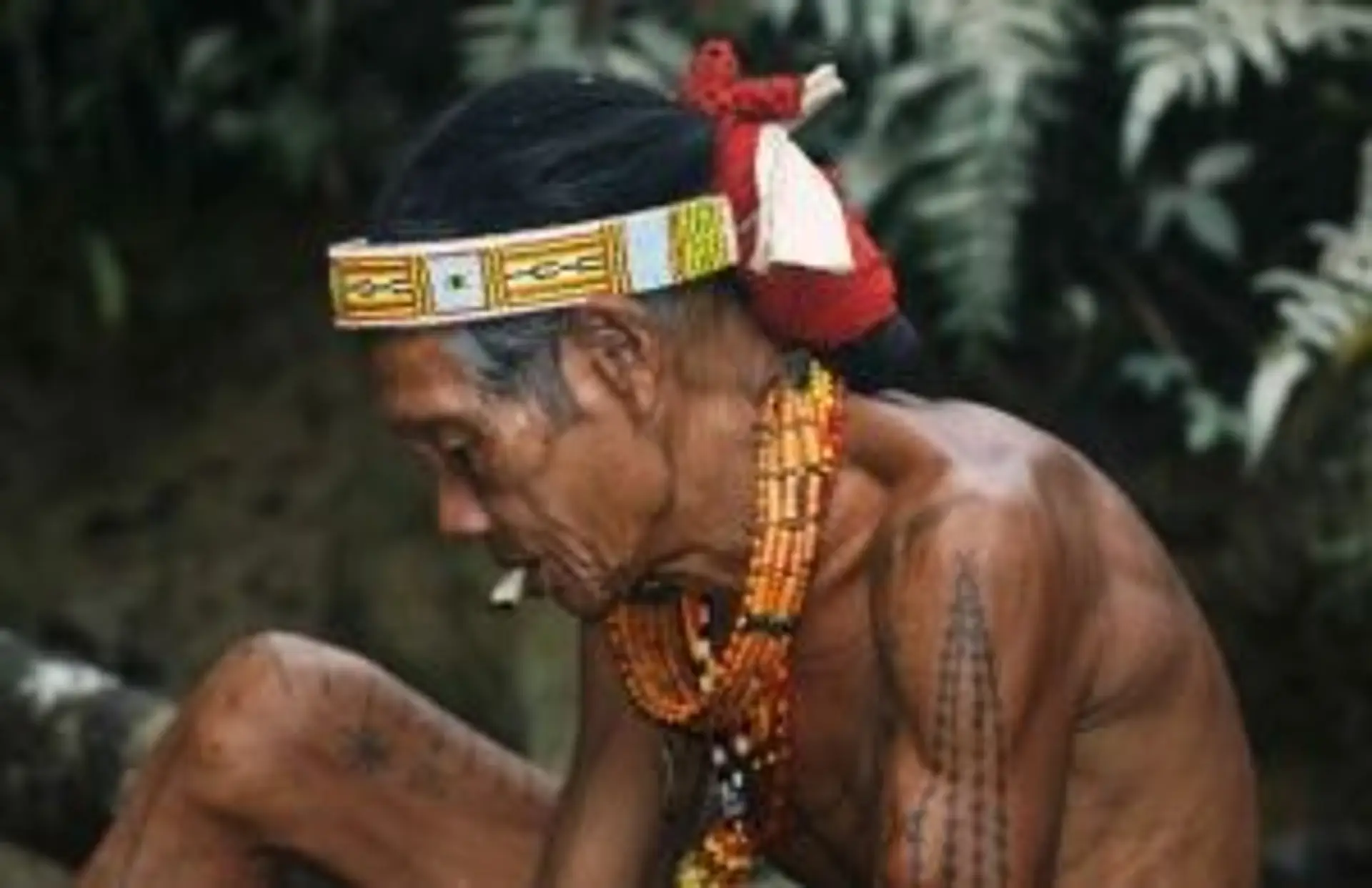 sortir-sentiers-battus-indonesie