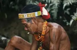 Voyage en Indonésie – Portrait d'un homme Mentawai arborant des tatouages et parures traditionnels.