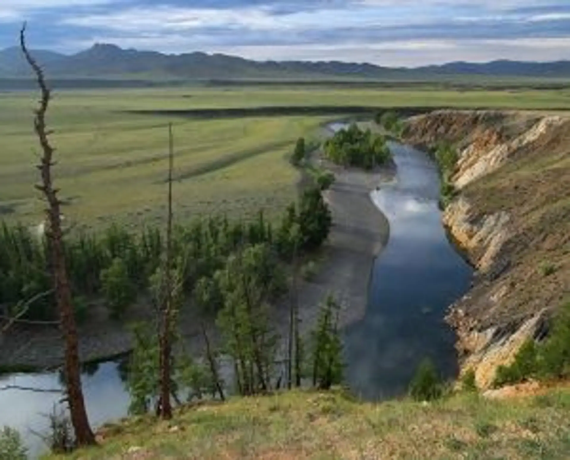 Rivière sinueuse traversant une vallée de mélèzes sauvage en Mongolie