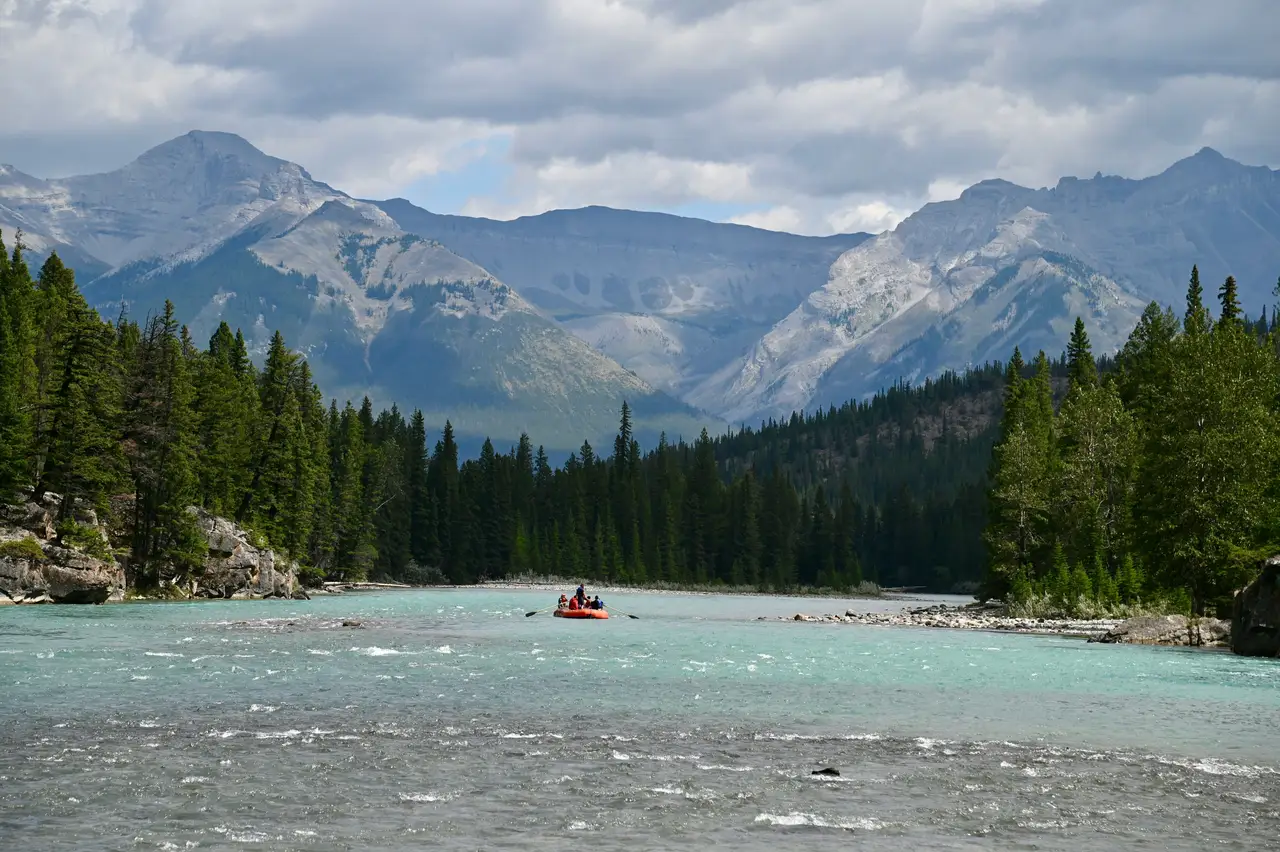 Eaux turquoise d'une rivière bordée d'une dense forêt de conifères avec les sommets rocheux en arrière-plan à Banff