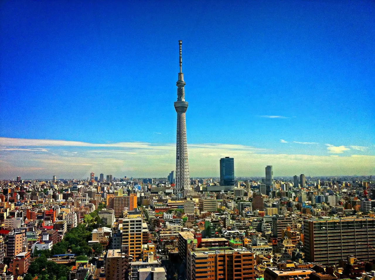 La ville de tokyo 