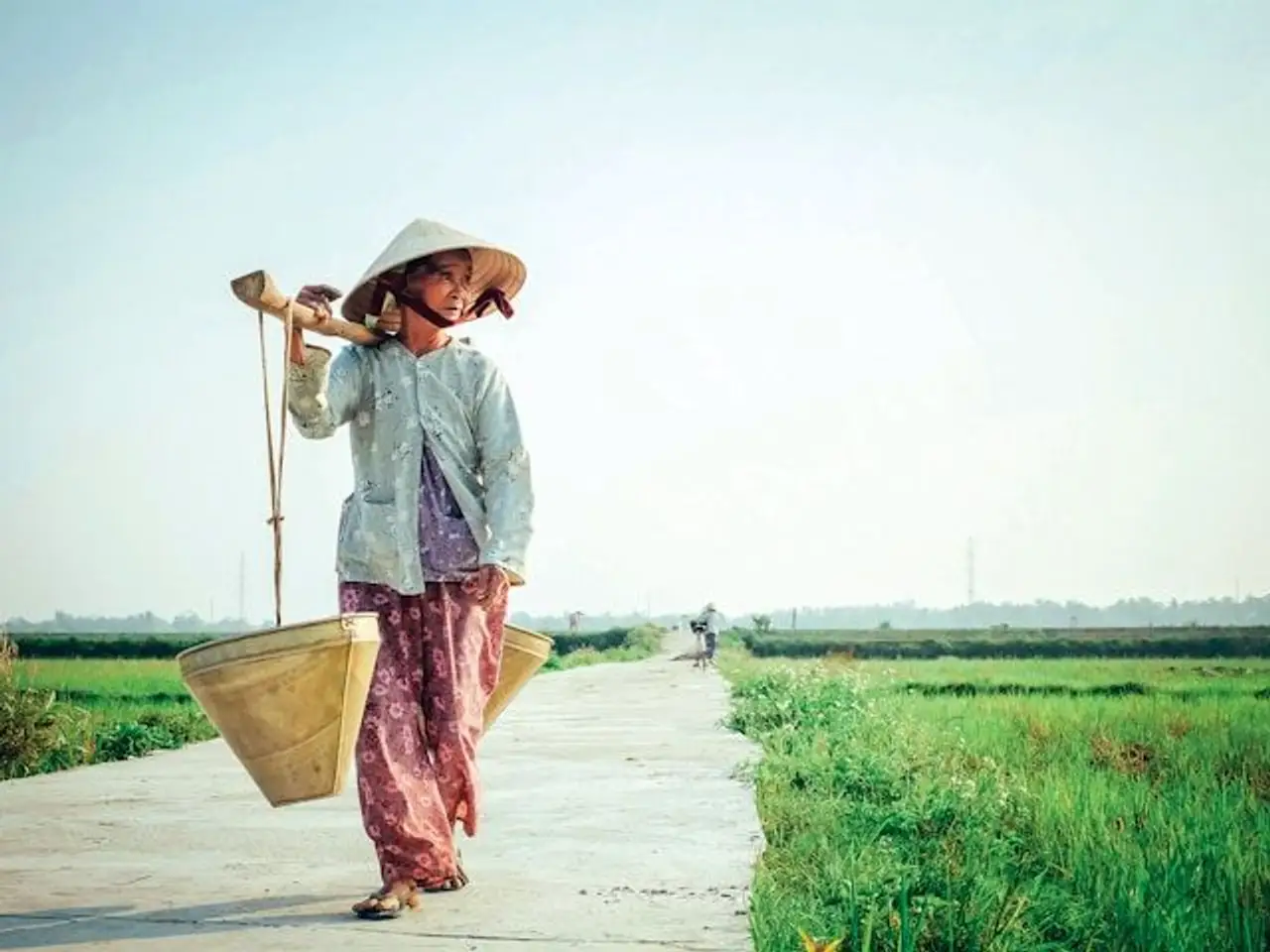 Vietnamesische Frau auf Reisfeld 