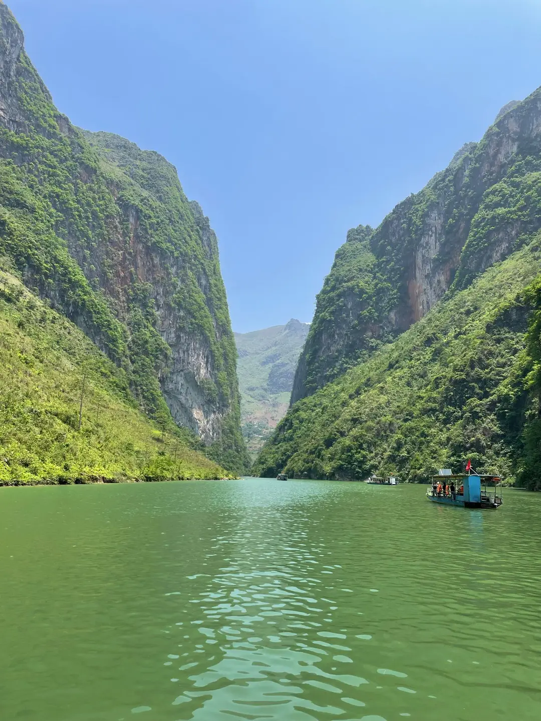 Des bateaux de promenade naviguent sur les eaux vertes et calmes d'un fleuve encaissé entre de majestueuses falaises et montagnes karstiques couvertes de végétation au Vietnam.