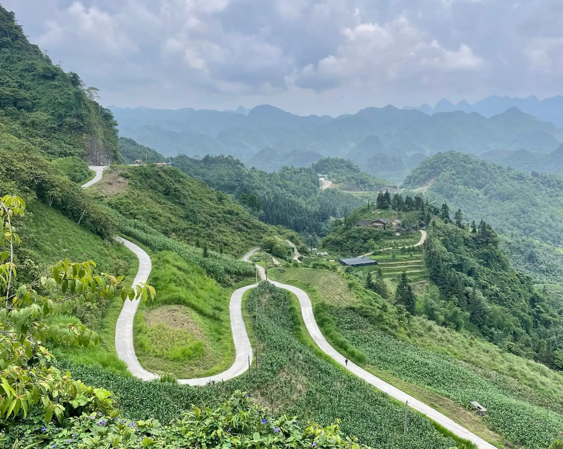 Route de montagne sinueuse serpentant à travers les collines verdoyantes et les paysages karstiques de la province d'Ha Giang au Nord du Vietnam.