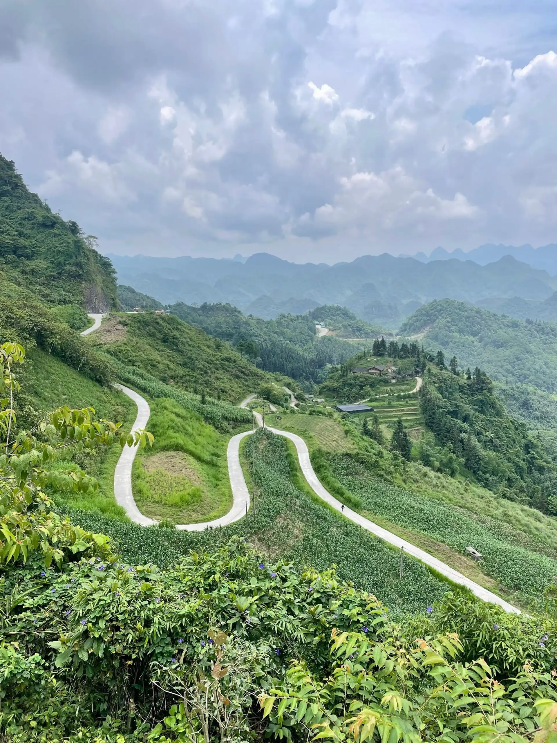 Route de montagne sinueuse serpentant à travers les collines verdoyantes et les paysages karstiques de la province d'Ha Giang au Nord du Vietnam.