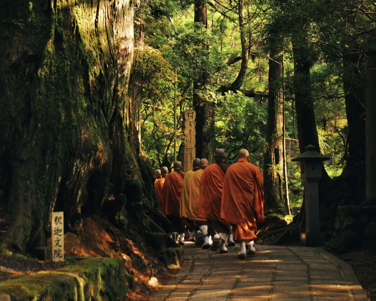 des moines qui marchent dans la foret japonaise