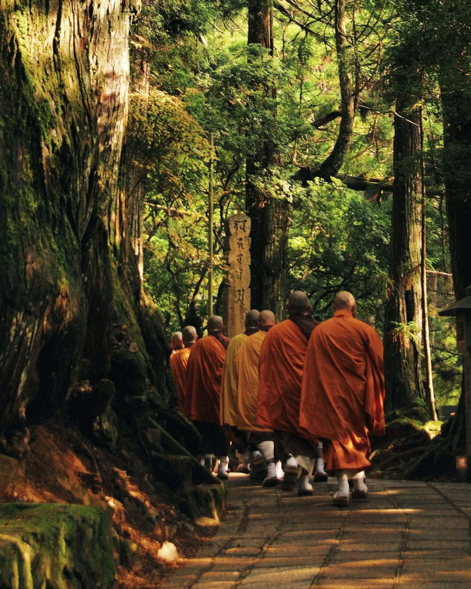 des moines qui marchent dans la foret japonaise