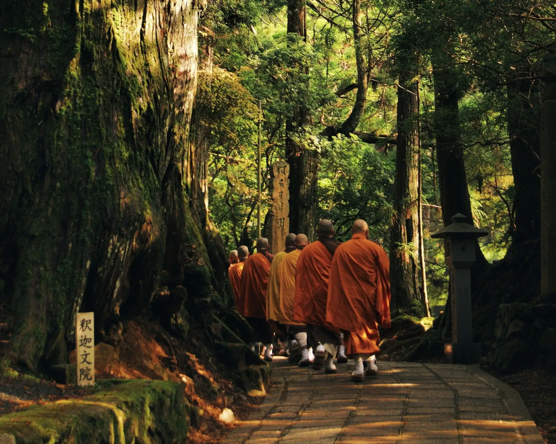 Moines bouddhistes en robe safran marchant à travers une forêt de cèdres centenaires sur le Mont Koya au Japon.
