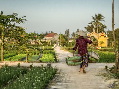 Culture vietnamienne : TOP 10 des choses à savoir avant de partir