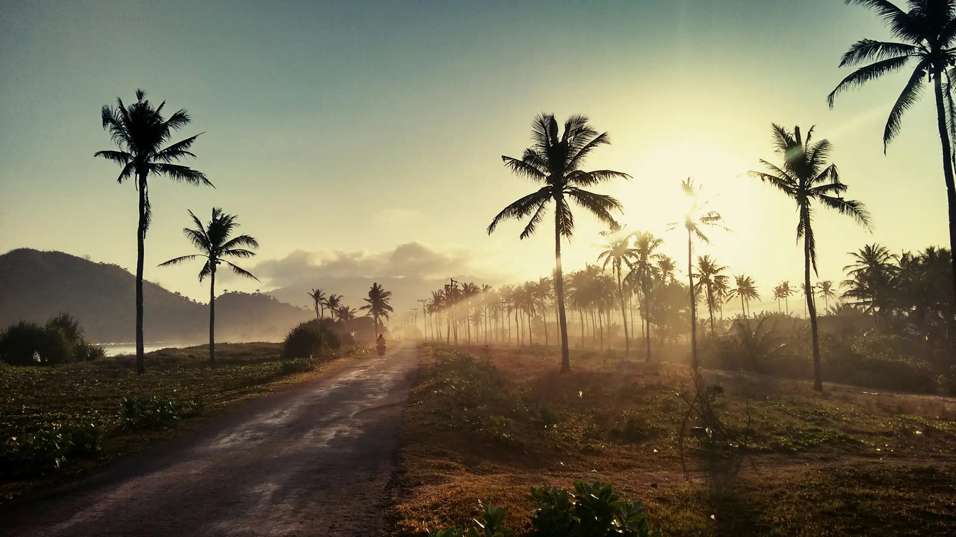 Travel in Asia - Sunset over Indonesian jungle