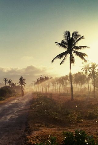Travel in Asia - Sunset over Indonesian jungle