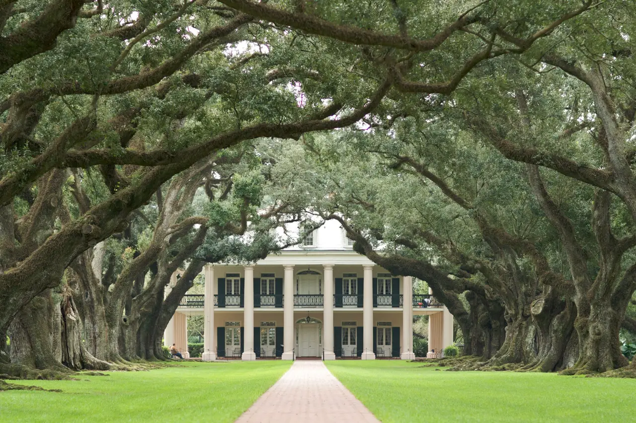 Grande allée de chênes centenaires formant une voûte végétale menant au manoir historique d'Oak Alley Plantation en Louisiane