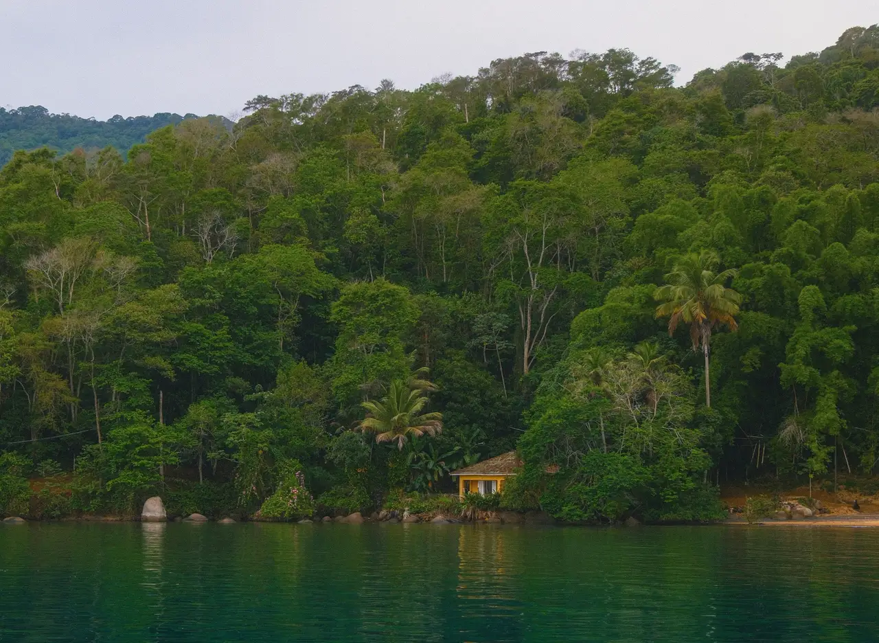 Voyage au Brésil – Collines abruptes recouvertes par la dense forêt tropicale atlantique plongeant directement dans les eaux d'une crique isolée à Ilha Grande.