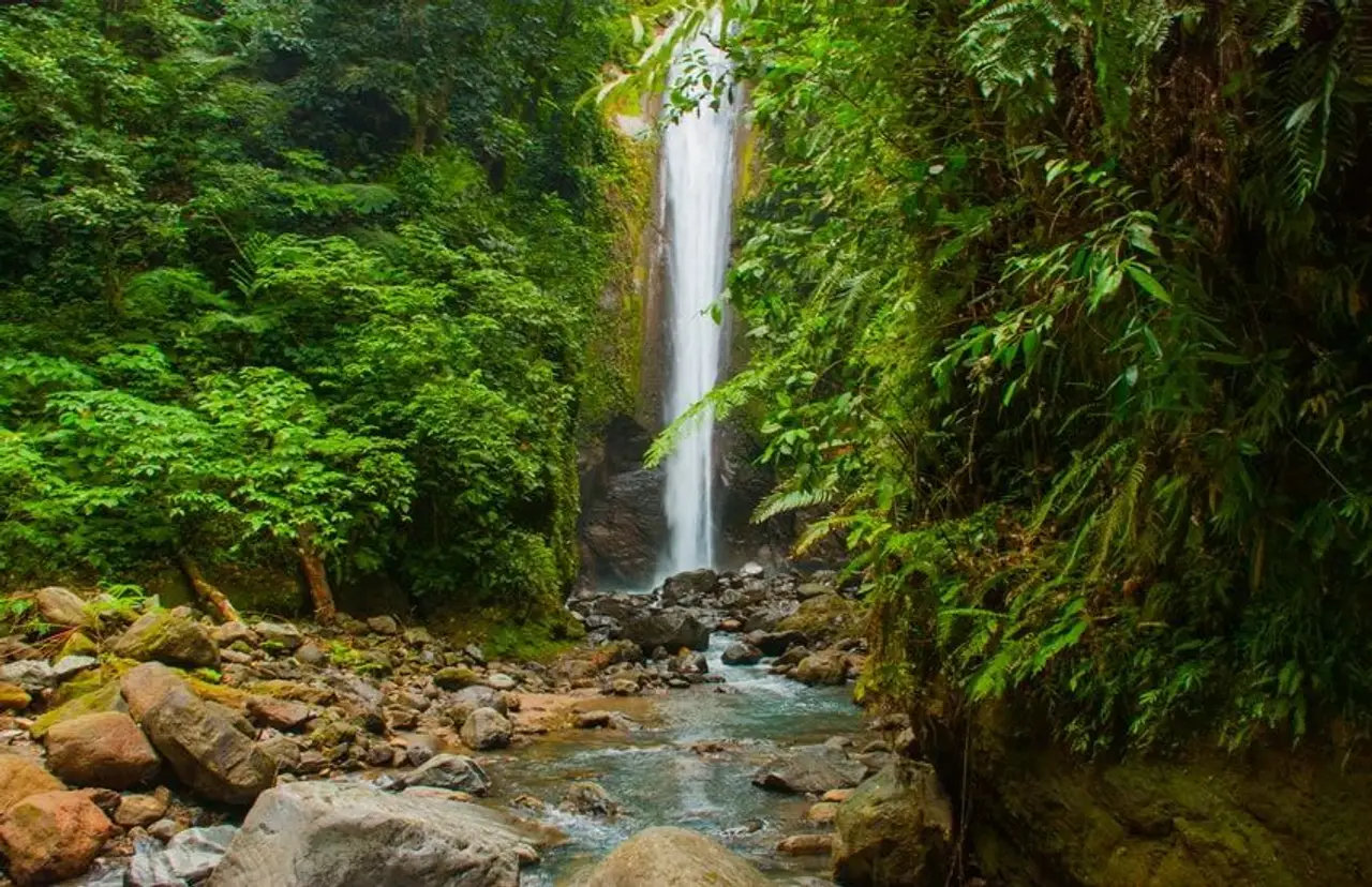 Wasserfall im Dschungel des Twin Lakes Park