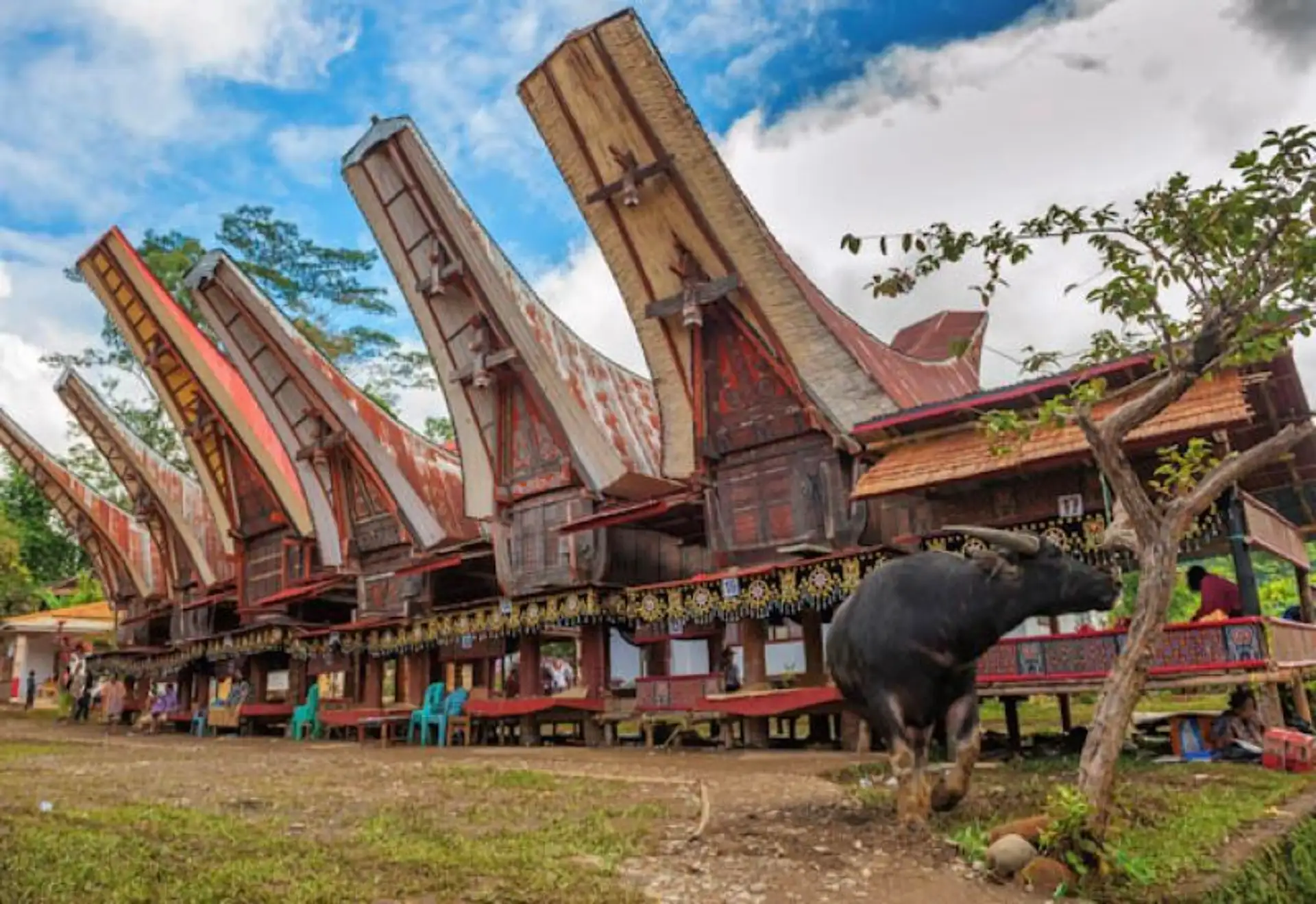 Sulawesi, rencontres d’Indonésie