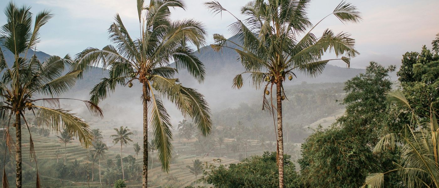 Guide de voyage Bali