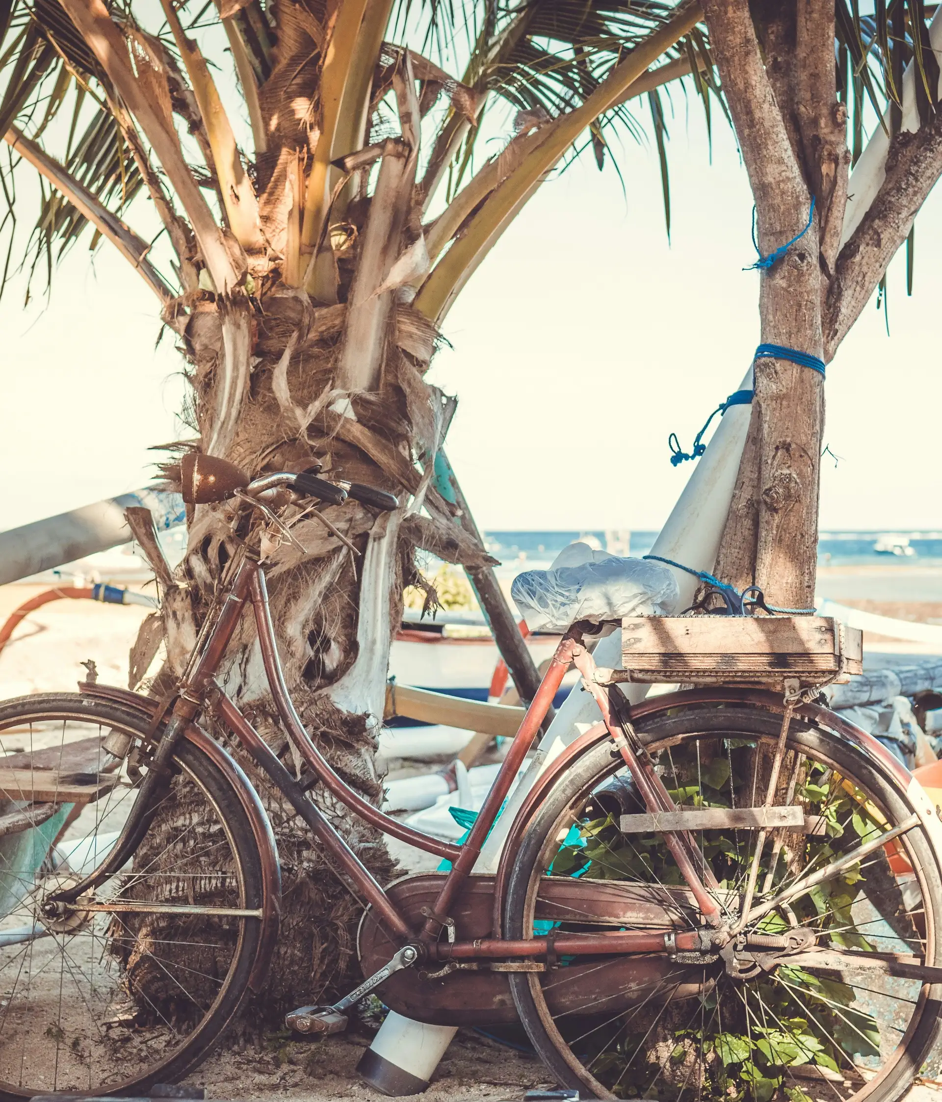 Voyage en Asie — Une vieille bicyclette rouillée appuyée contre un palmier sur une plage balinaise, avec un bateau traditionnel et la mer en arrière-plan, ambiance authentique et paisible.