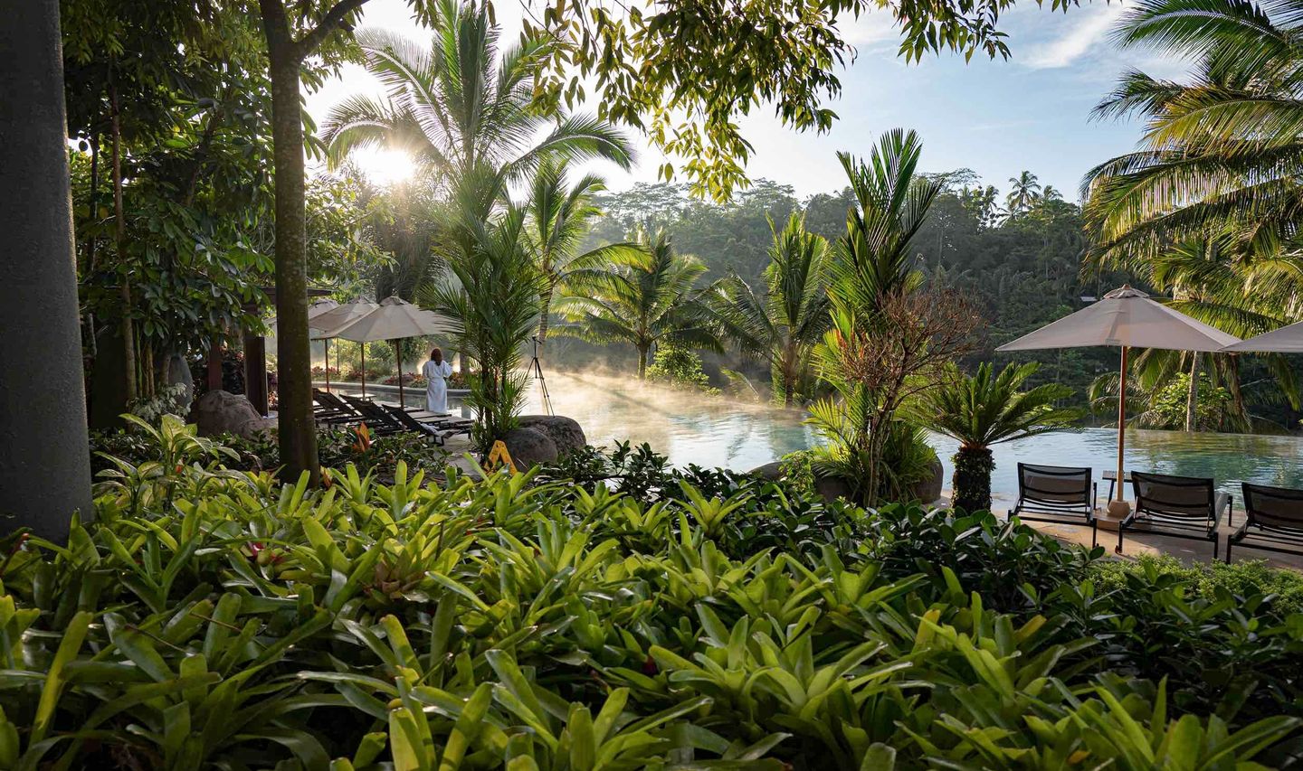 Voyage en Asie -Piscine entourée de verdure chic et pleine de charme pour votre inspiration