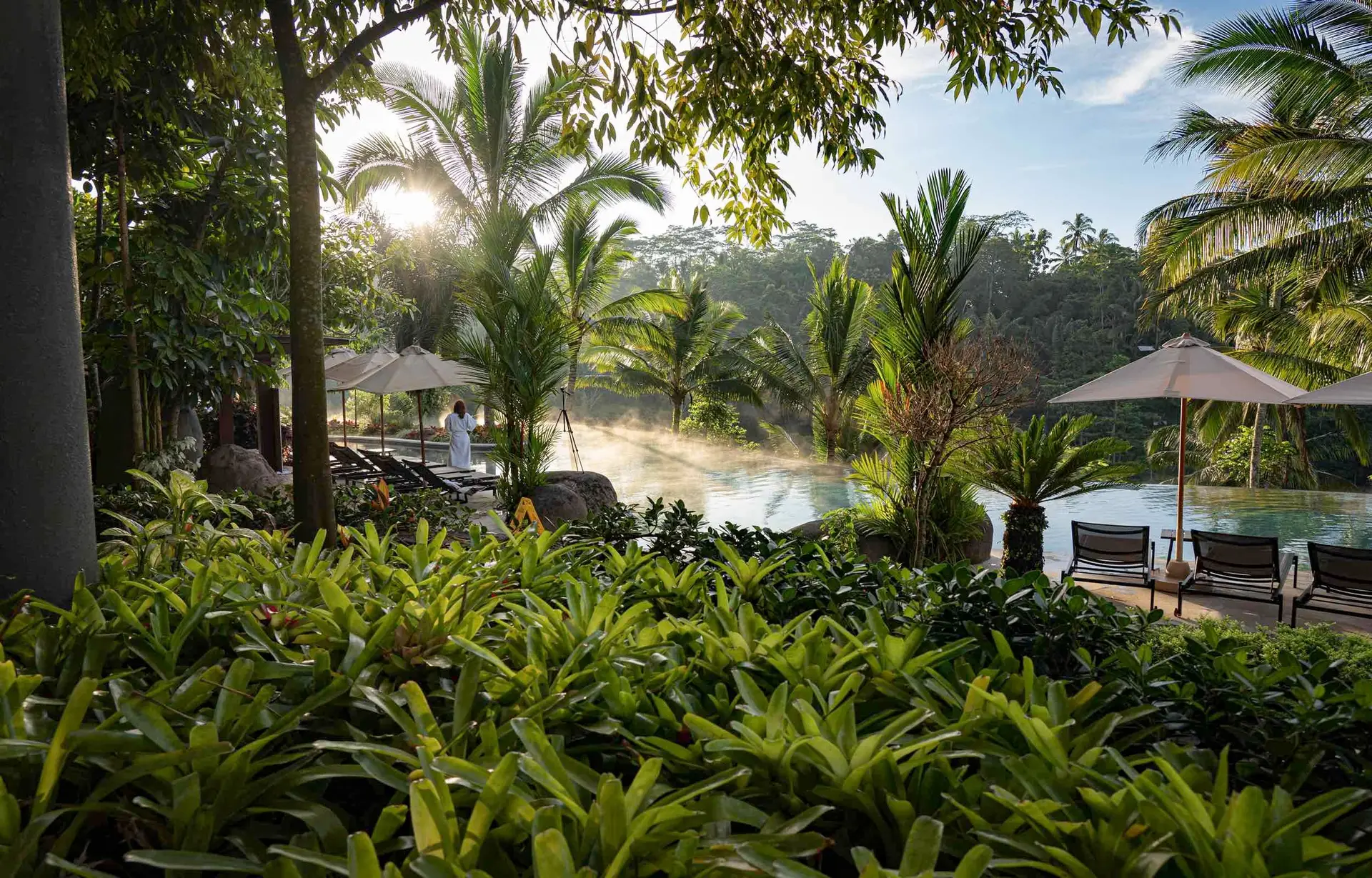 Voyage en Asie -Piscine entourée de verdure chic et pleine de charme pour votre inspiration