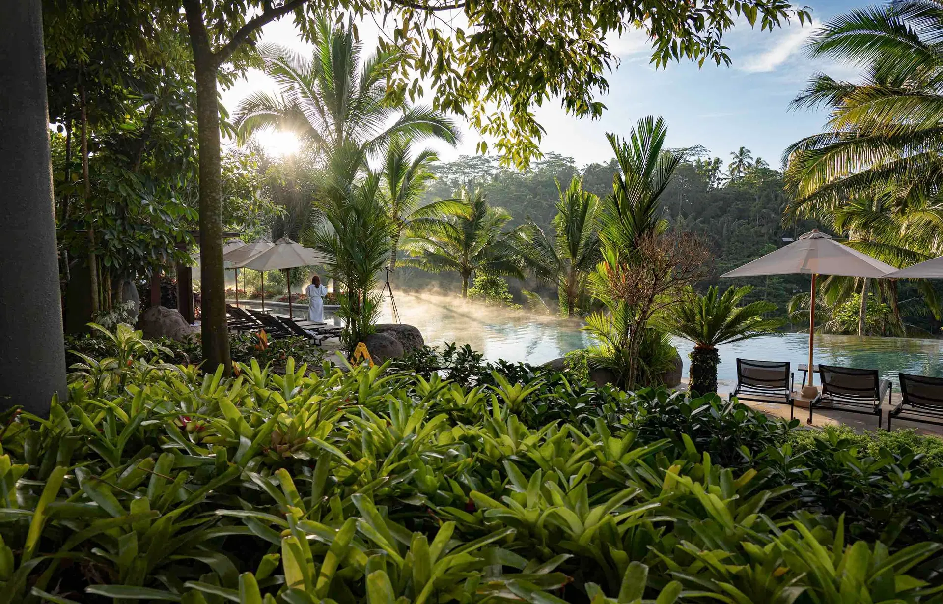 Voyage en Asie -Piscine entourée de verdure chic et pleine de charme pour votre inspiration