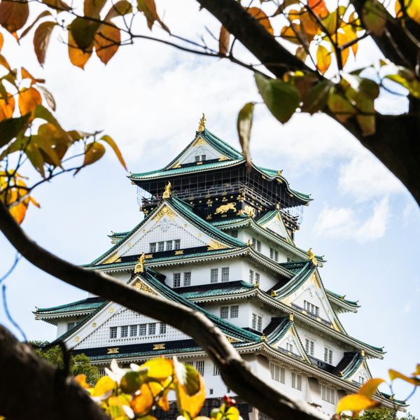 Travel in Asia - Osaka Castle seen through the branches of a tree with changing fall colors