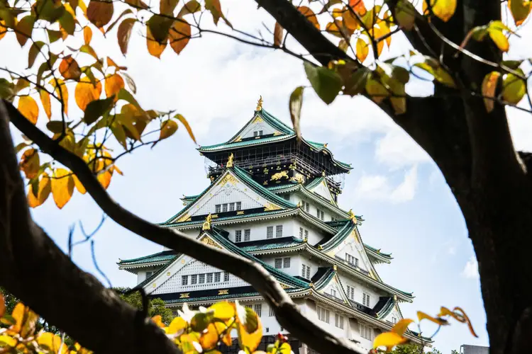 Travel in Asia - Osaka Castle seen through the branches of a tree with changing fall colors
