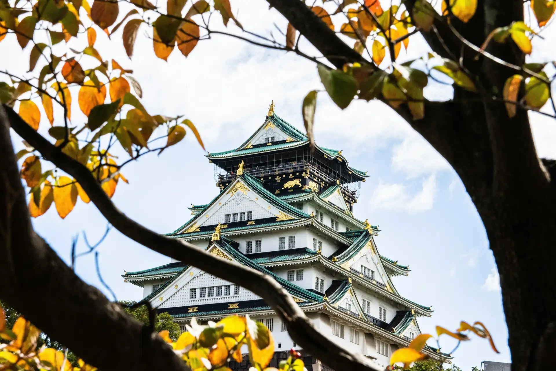 Travel in Asia - Osaka Castle seen through the branches of a tree with changing fall colors
