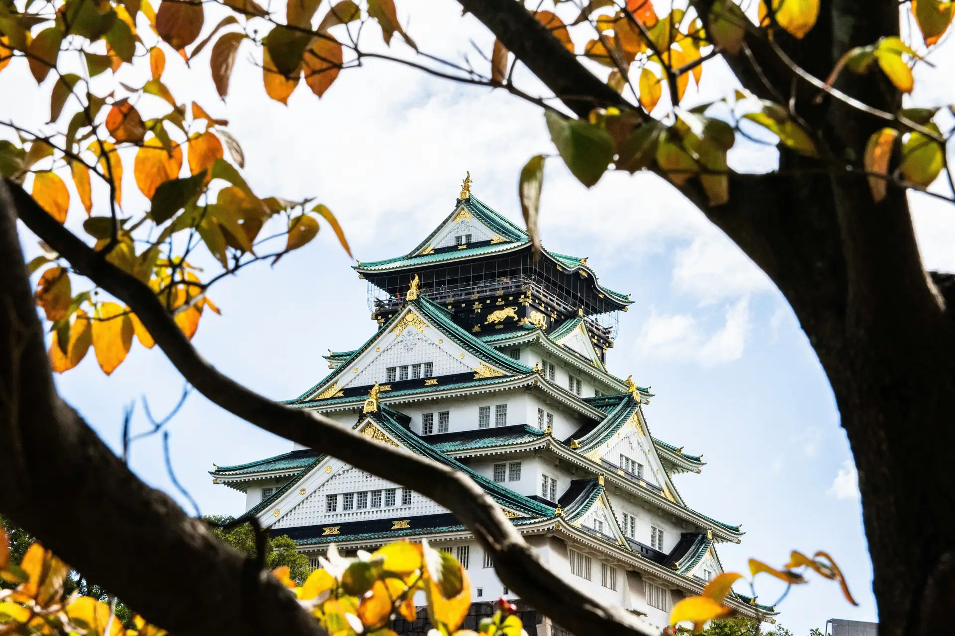 Travel in Asia - Osaka Castle seen through the branches of a tree with changing fall colors