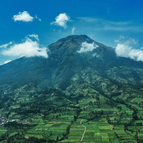 Mont Sumbing à Wonosobo