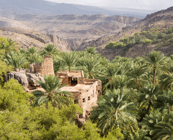 visite-nizwa-village-traditionnel