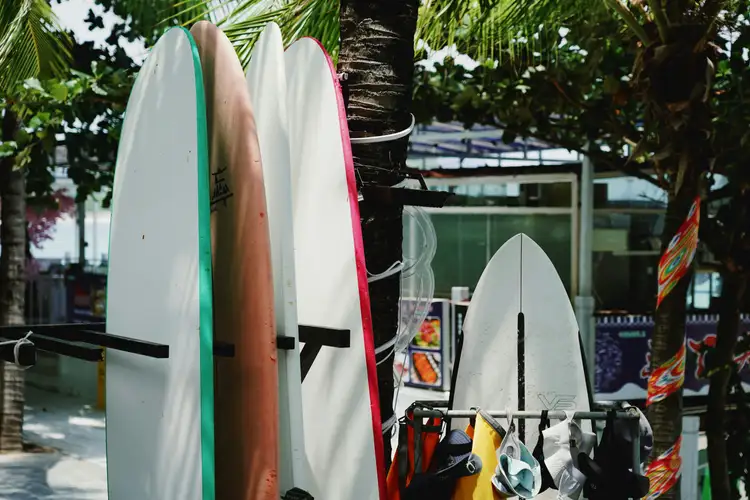 Plusieurs planches de surf colorées rangées verticalement à l'ombre de palmiers tropicaux à Cocoa Beach
