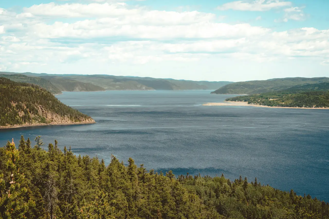 Vue panoramique sur les eaux calmes et les falaises verdoyantes bordant le fjord du Saguenay sous un ciel légèrement voilé